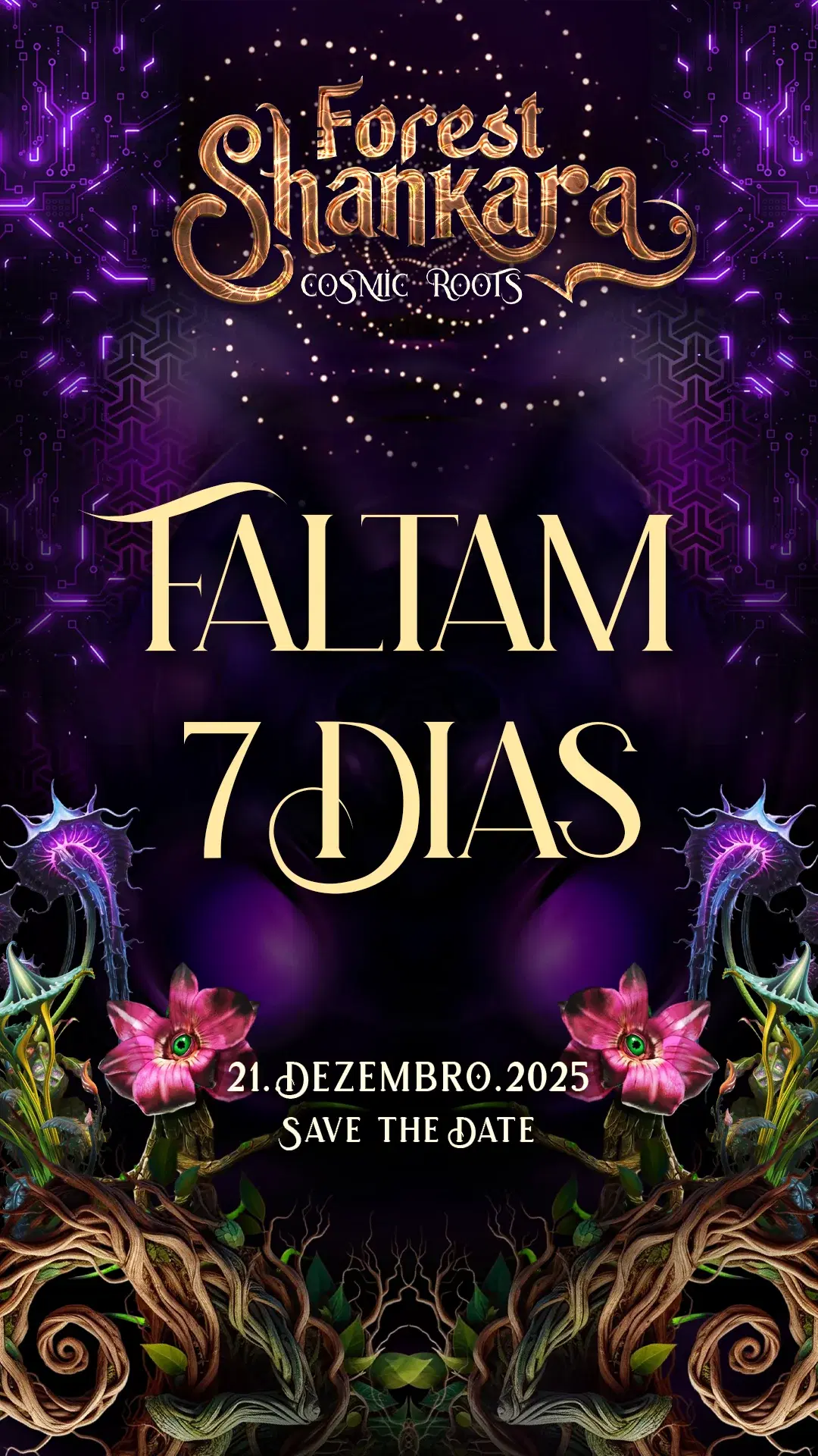 🌲✨ Faltam 7 dias! ✨🌲